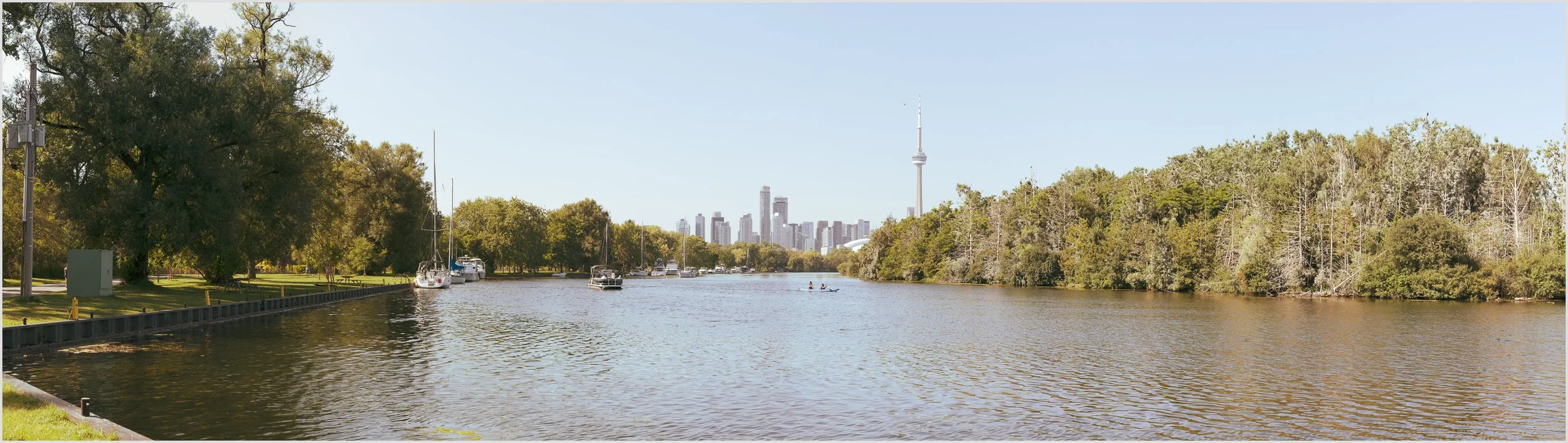 Cormorant Colony — Long Pond, Toronto Islands