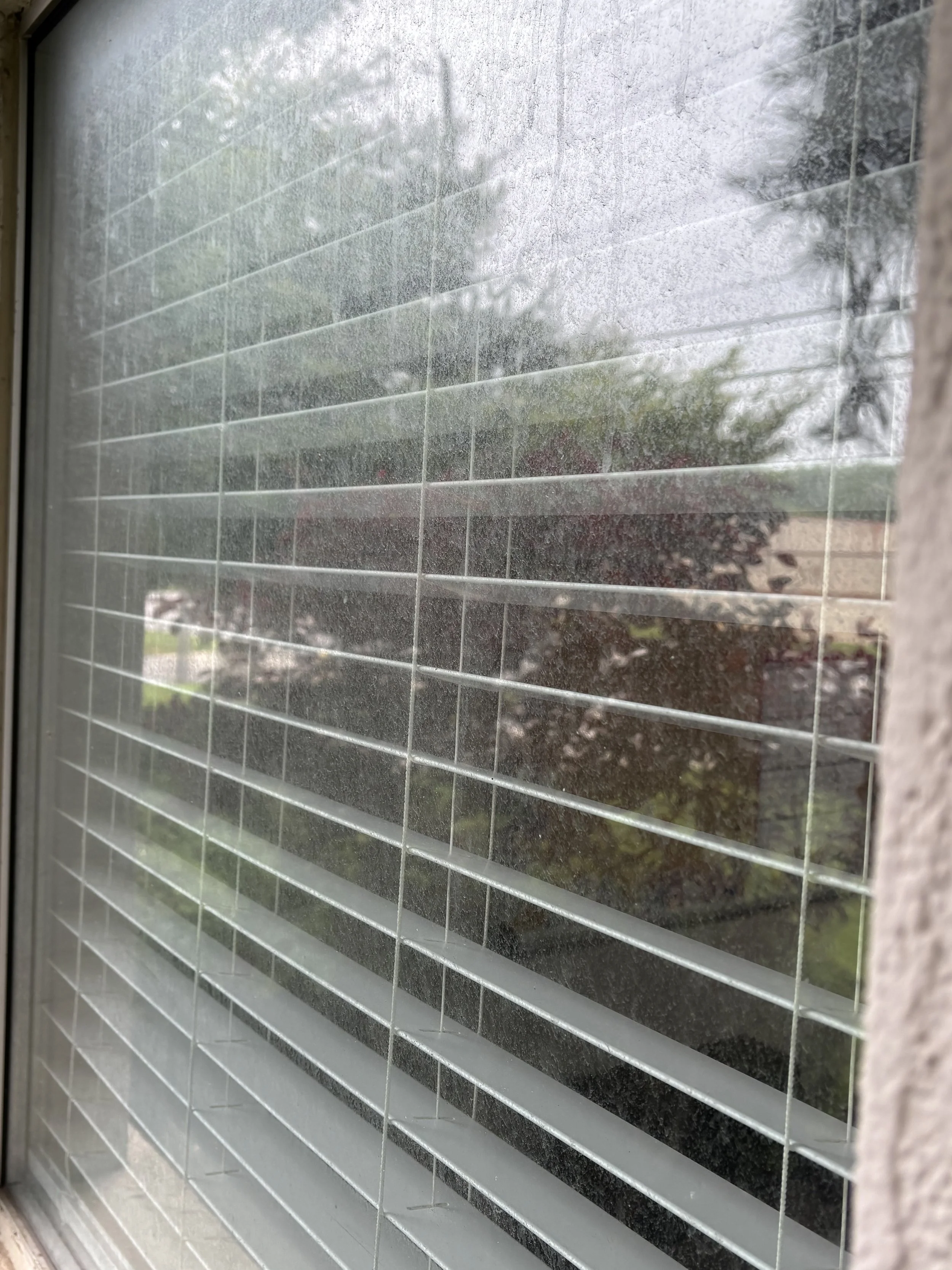 A close-up of a window with horizontal blinds, slightly foggy or dirty, with a view of trees and houses outside in a residential area.