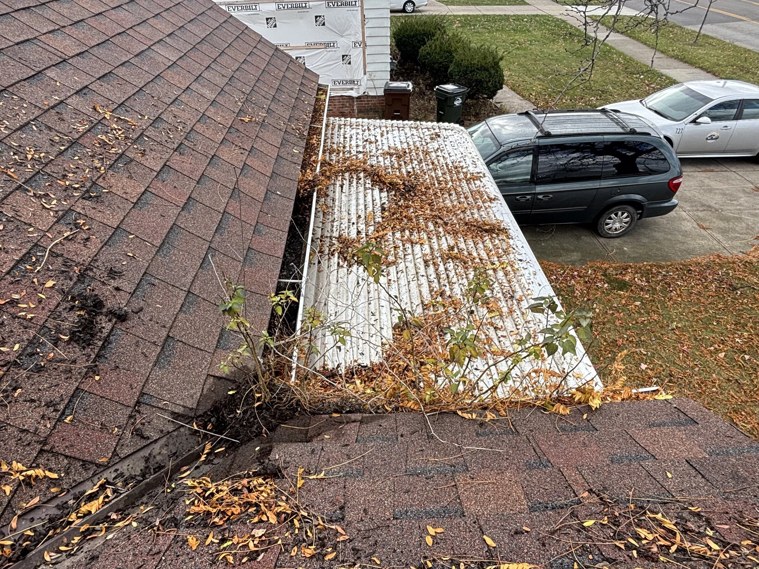 View from a rooftop showing a damaged section with broken shingles, fallen leaves, and a young plant growing through the damage. Below, there is a sidewalk, a lawn with leaves, two parked cars, and a house under construction with siding and training 