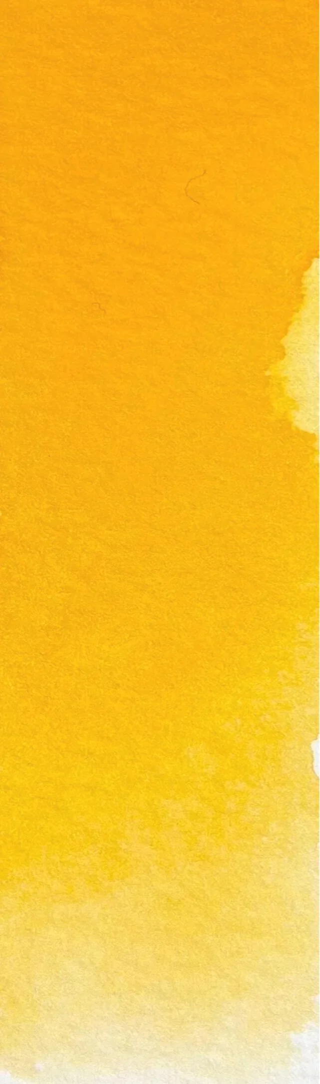 Cadmium Yellow Medium