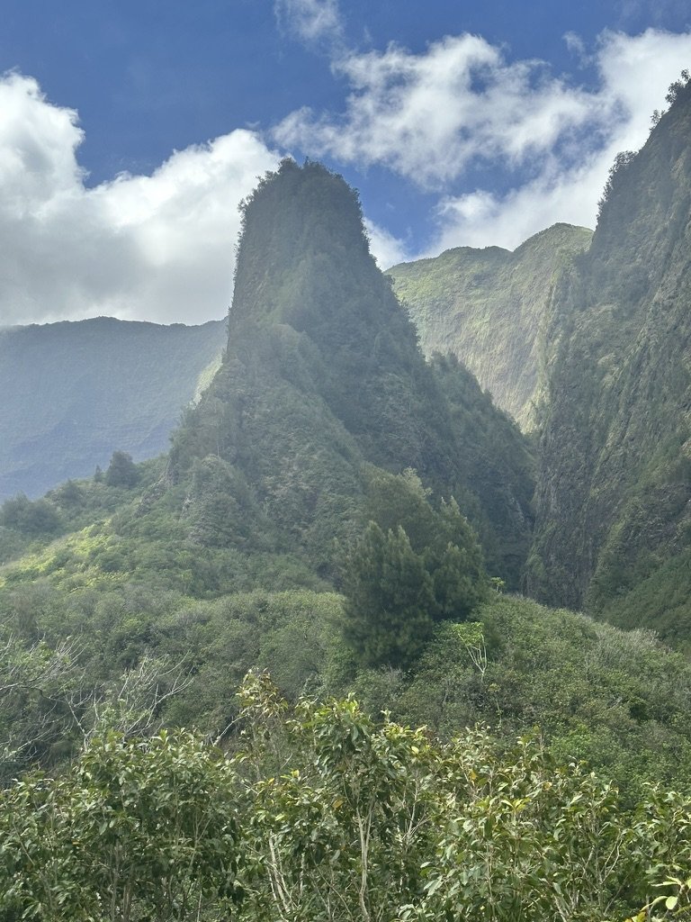 CAFD8FFC-DF53-4B45-8247-D66778D1702B_1_105_c.jpeg