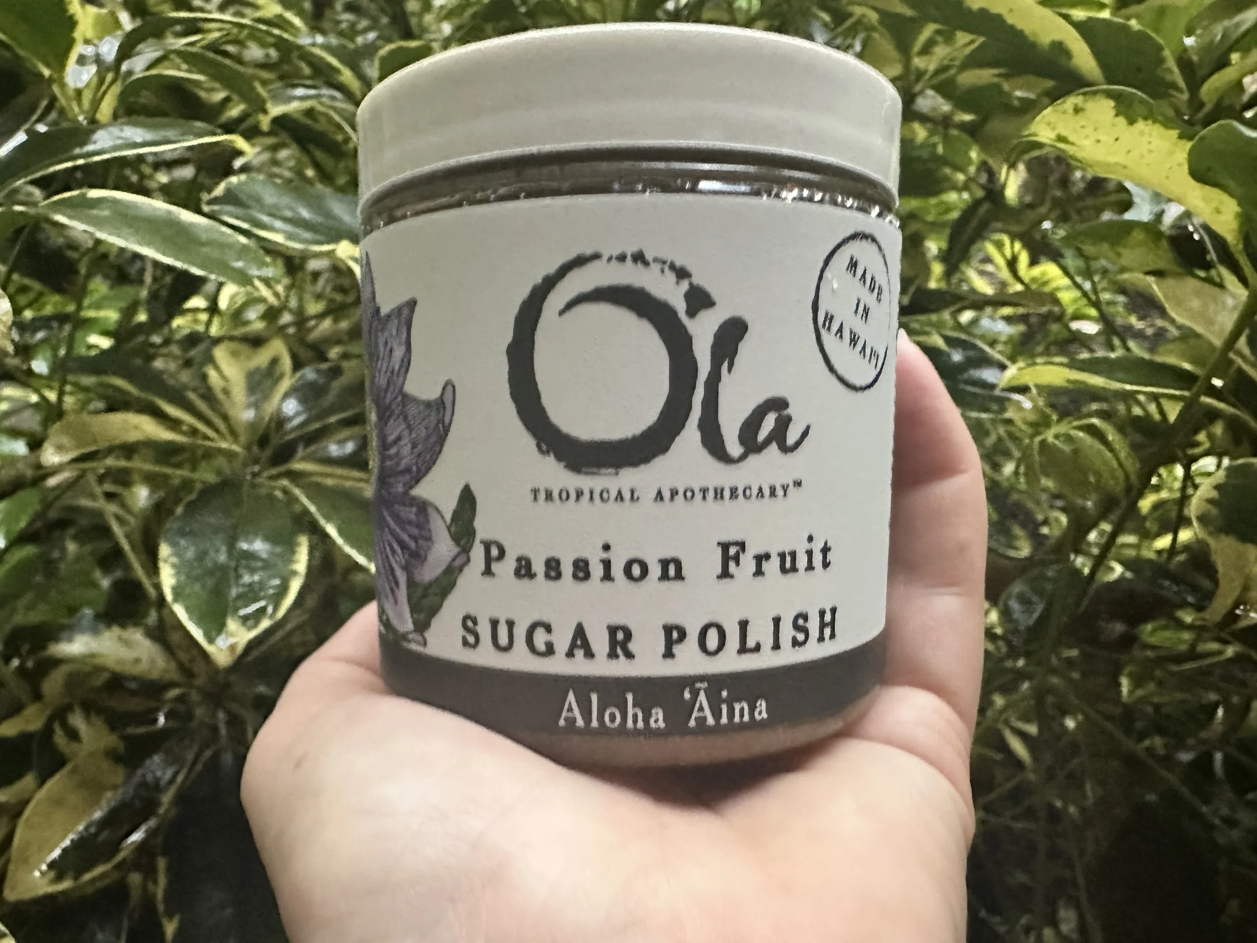 A hand holding a container of Ola Tropical Apothecary Passion Fruit Sugar Polish with a background of green tropical leaves.
