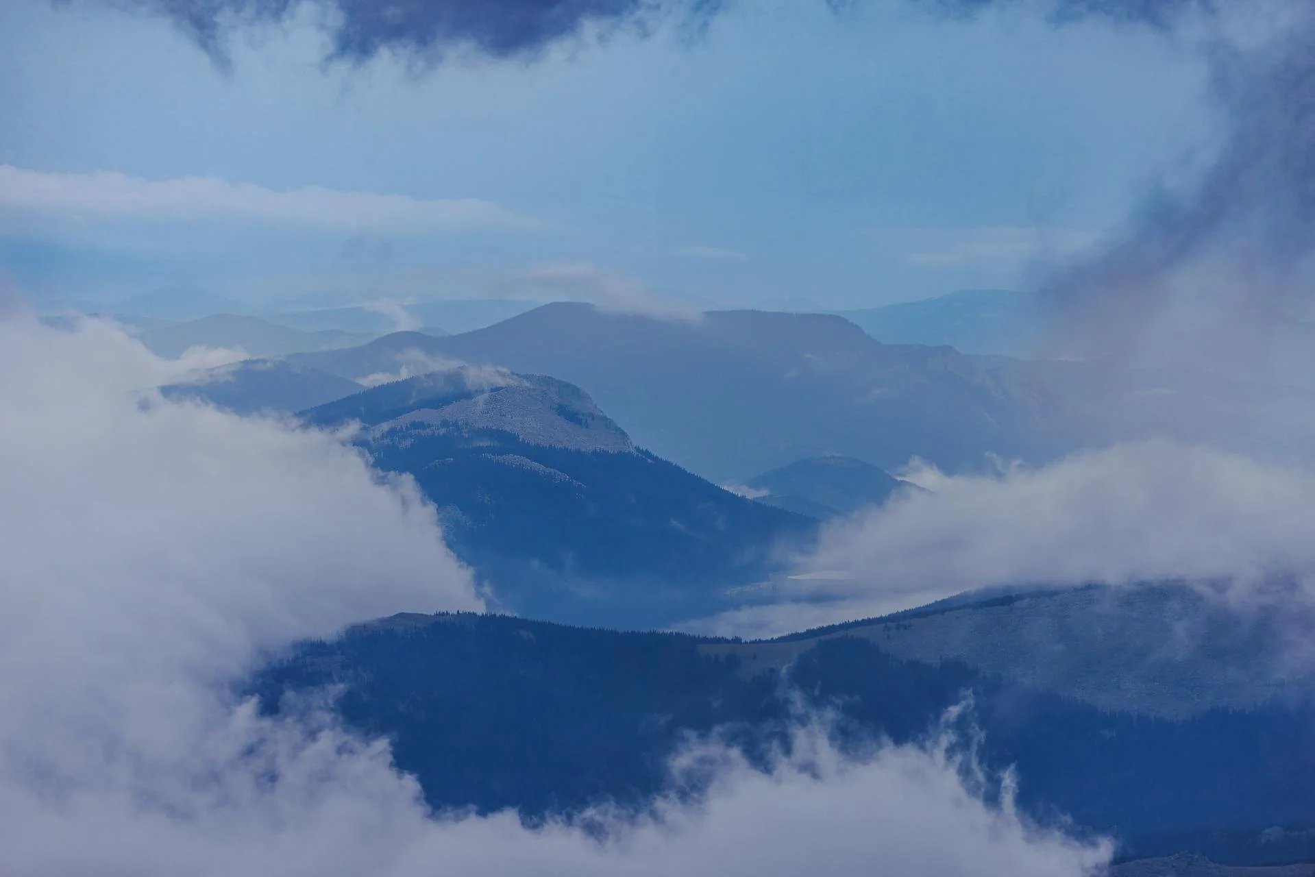 Small Steps Create Big Shifts 