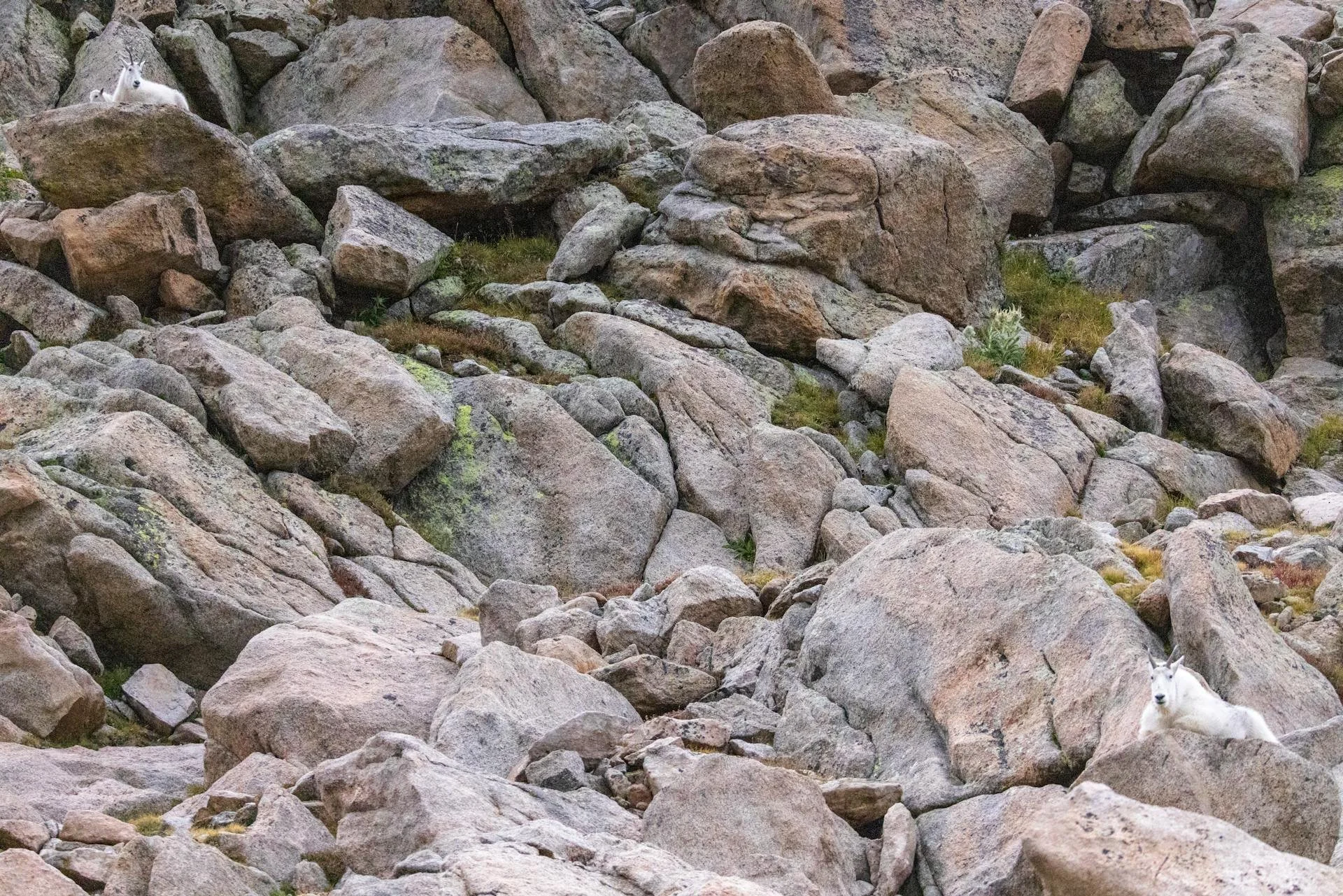 Turn Intention Into Action