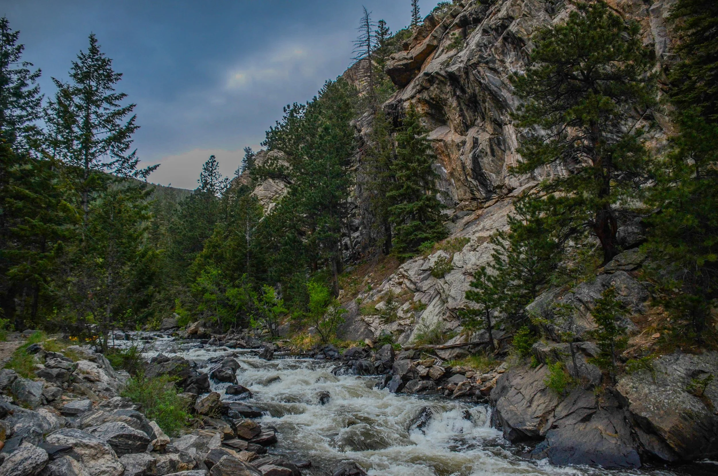 A mountain river flowing through a forested canyon with rocky cliffs and evergreen trees under a cloudy sky.