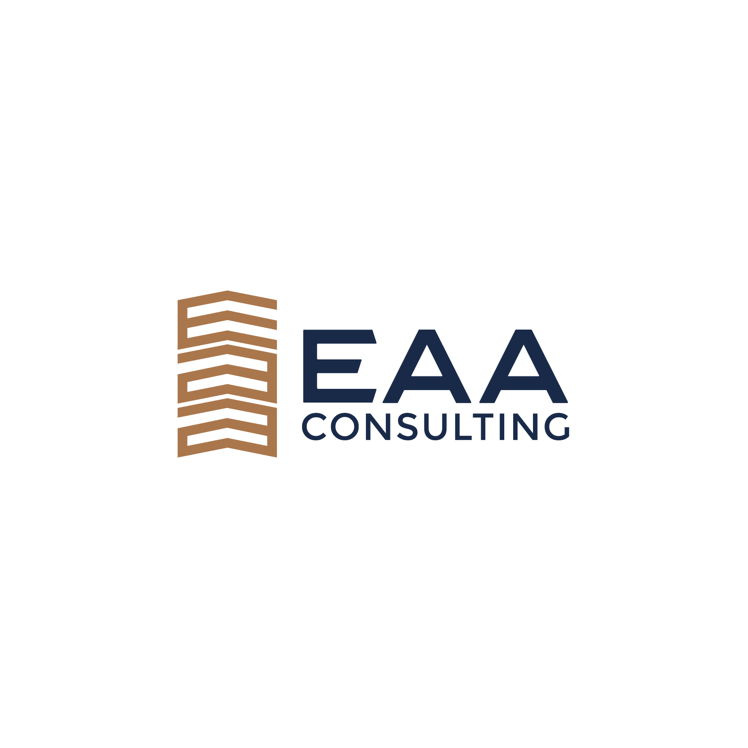 EAA CONSULTING