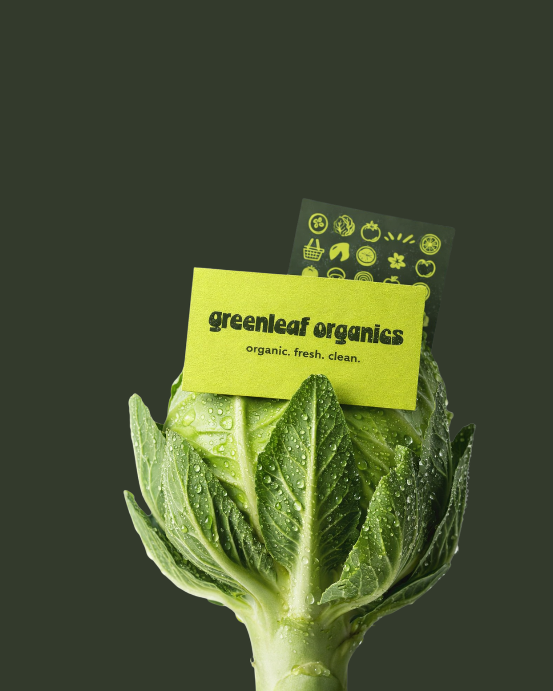 Untitled design (15).png