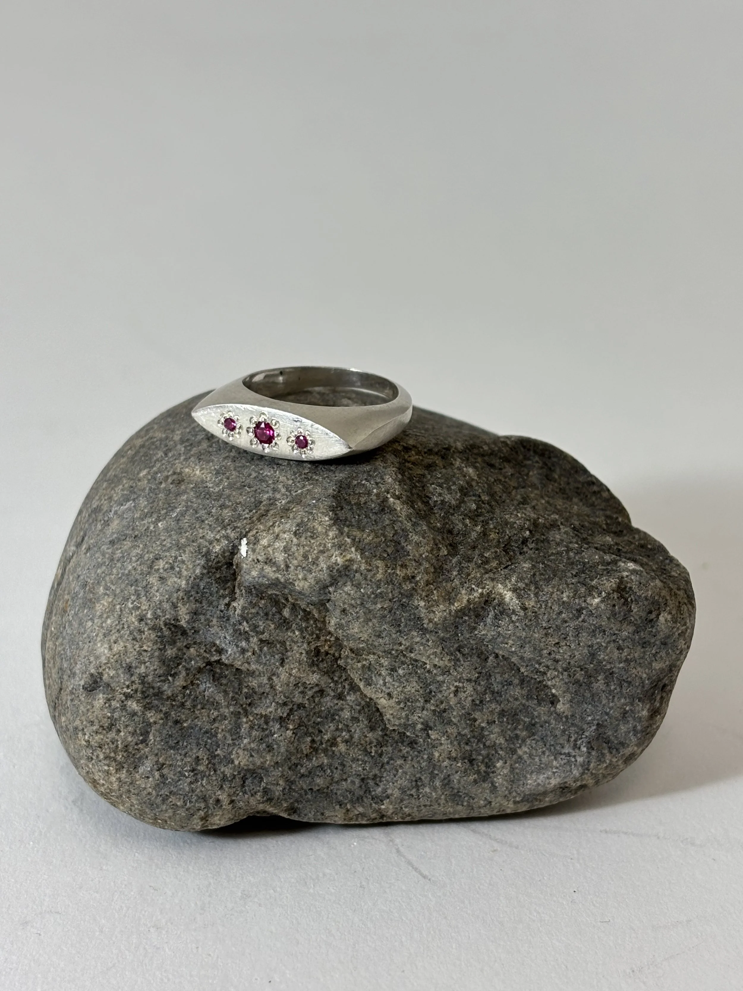 signet #1