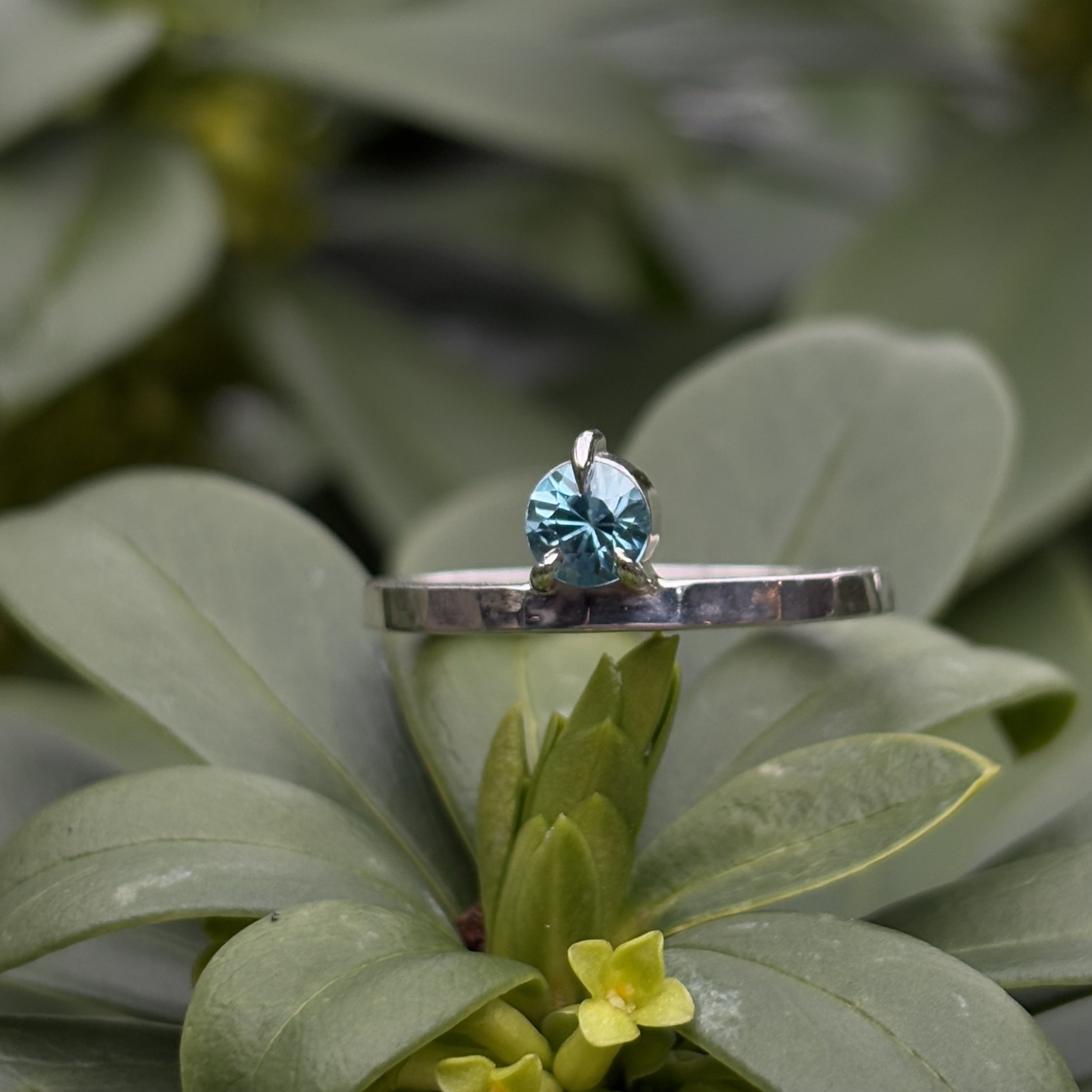 theory ring