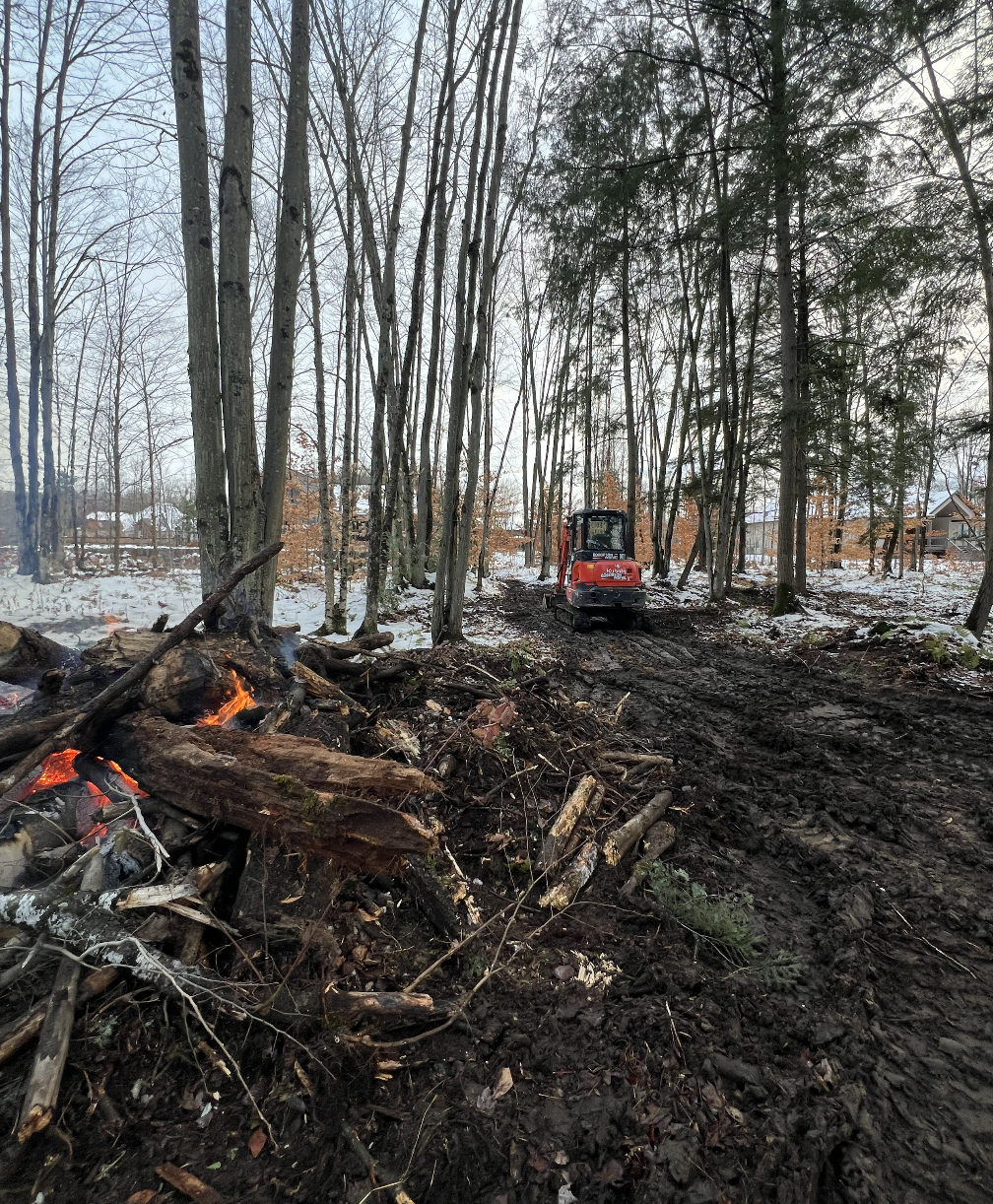 A forest with tall trees and a small bulldozer on a dirt path. There is a pile of wood and debris on the ground to the left, with a small fire burning.