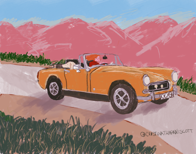 IMG_0269.PNG