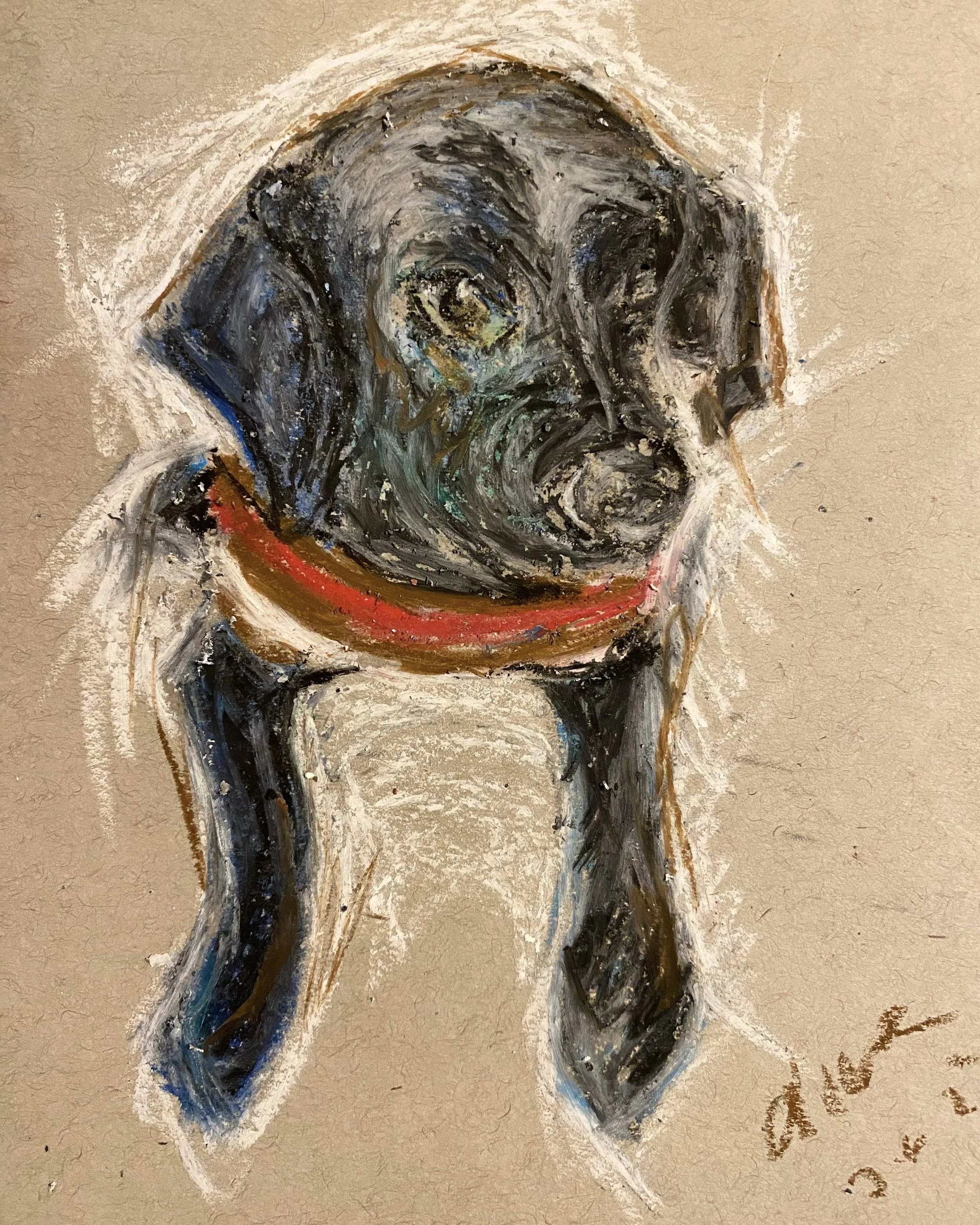 Puppy Olive in sweater.jpg