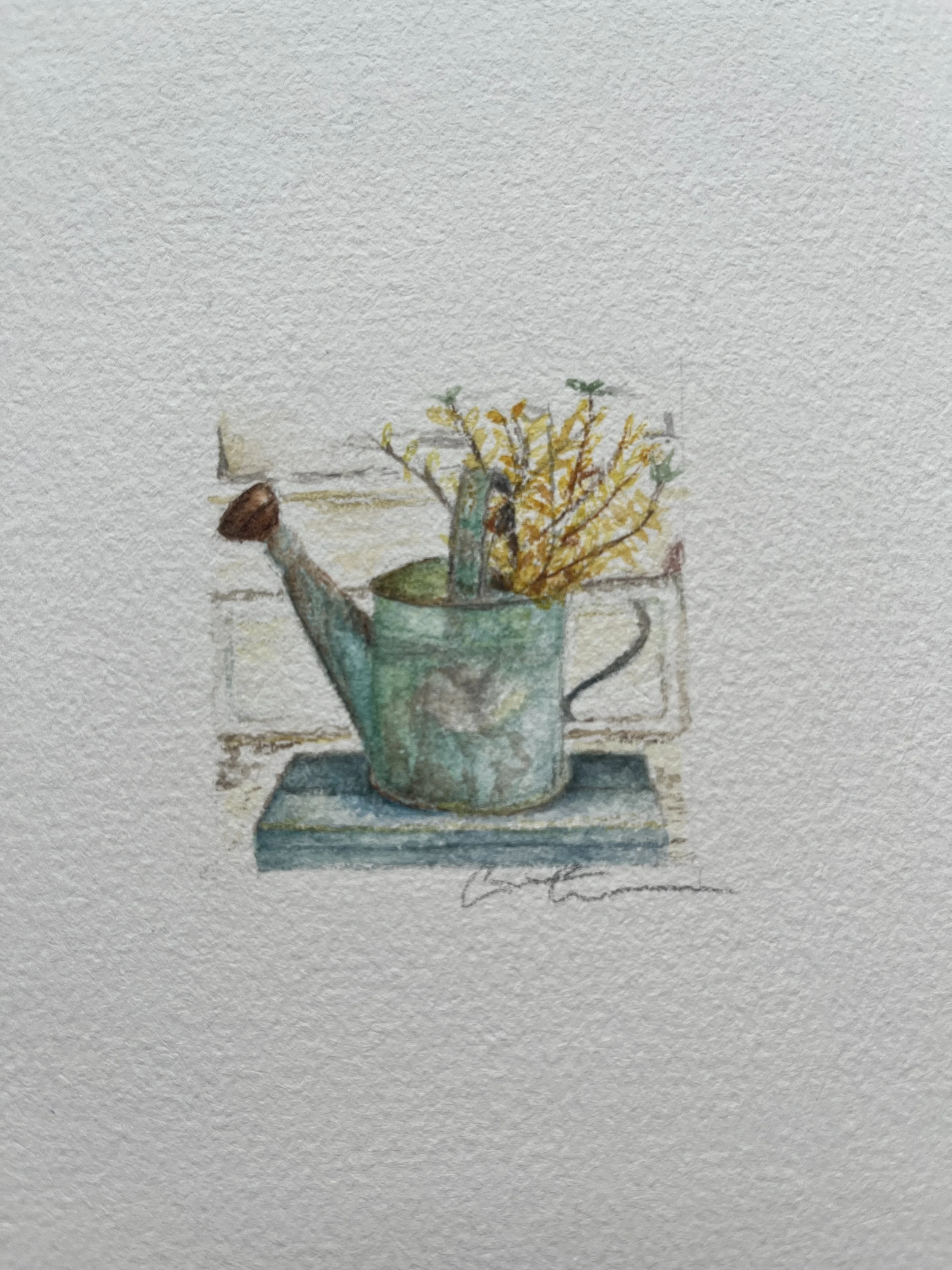 watering can.jpg