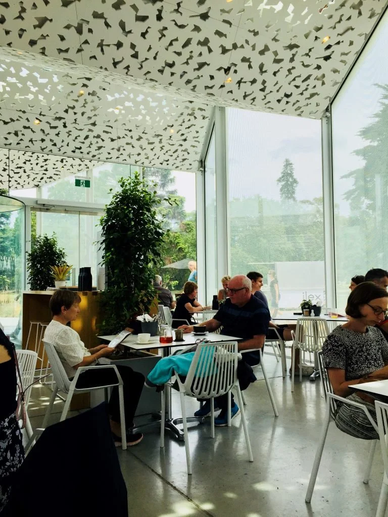 The Search for the Perfect Dining Experience!