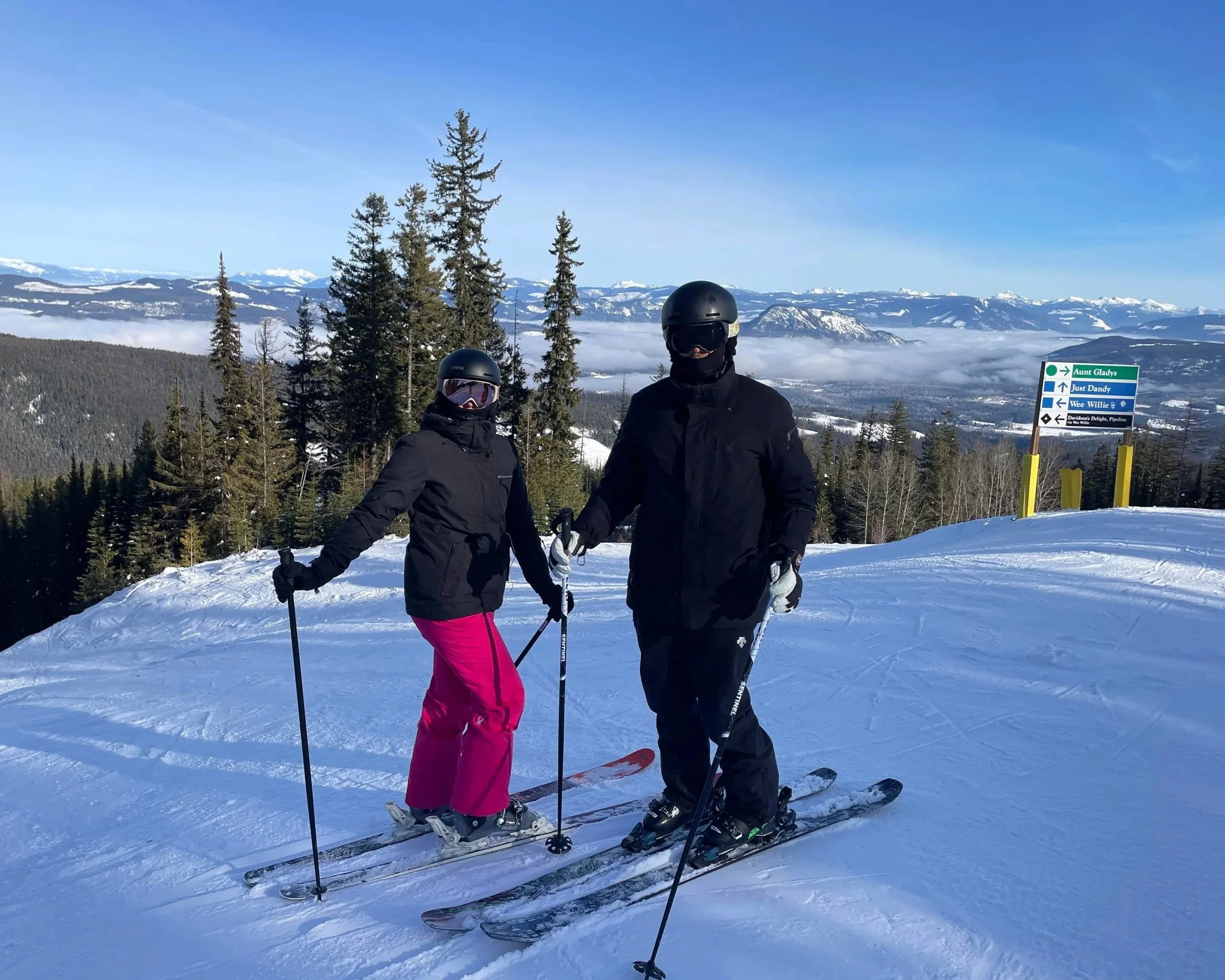 Two skiers in black jackets and helmets standing on a snowy mountain with a backdrop of evergreen trees, mountains, and blue sky.