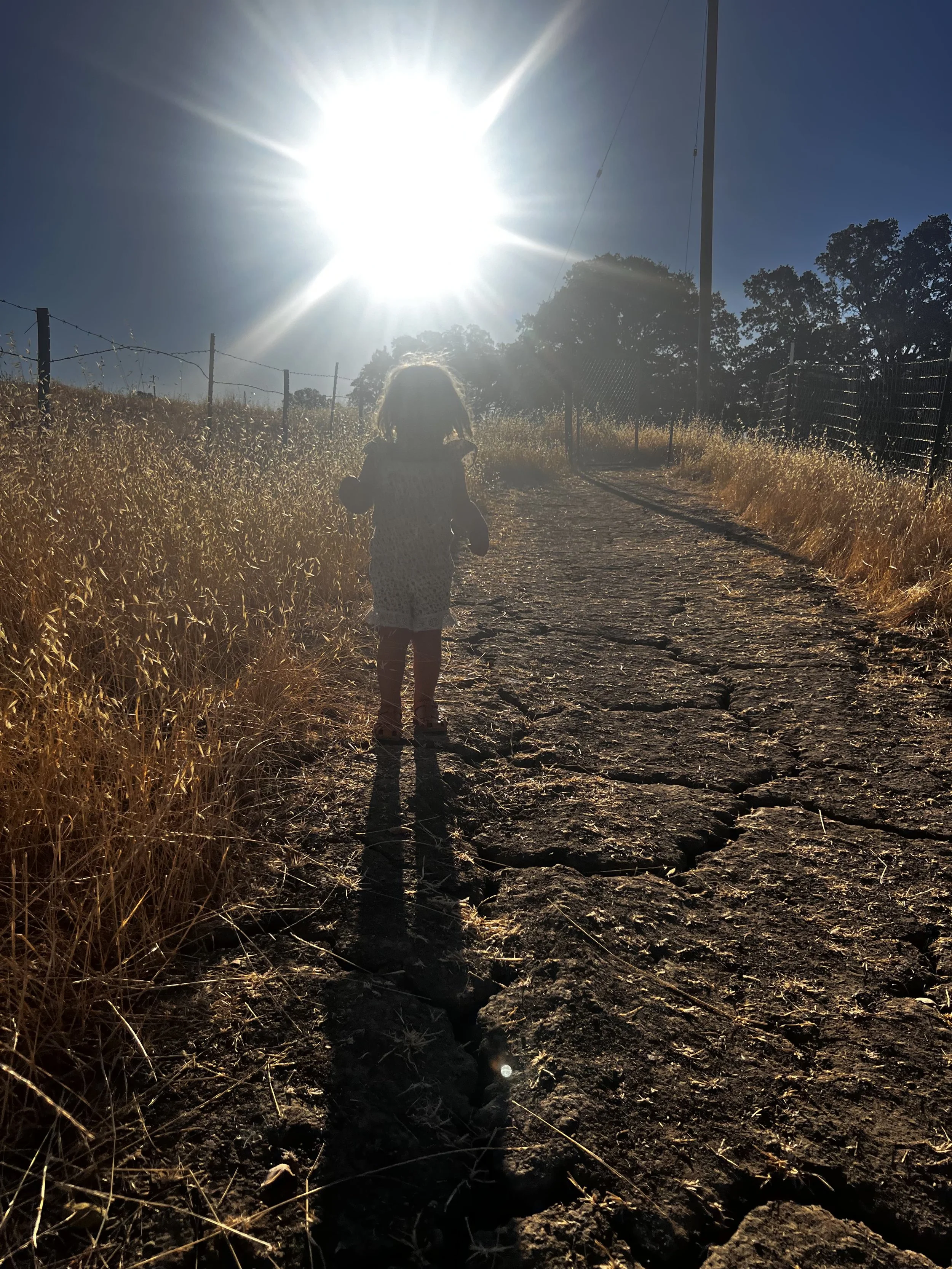Our toddler on the path to that separates the goats from the horses