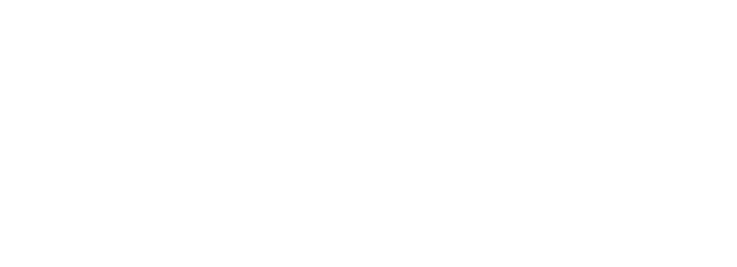 Topelz restaurant