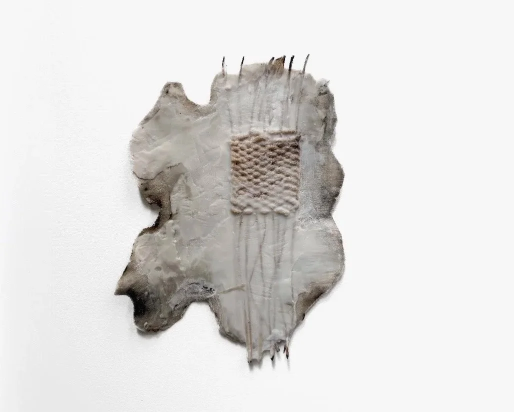 Rib