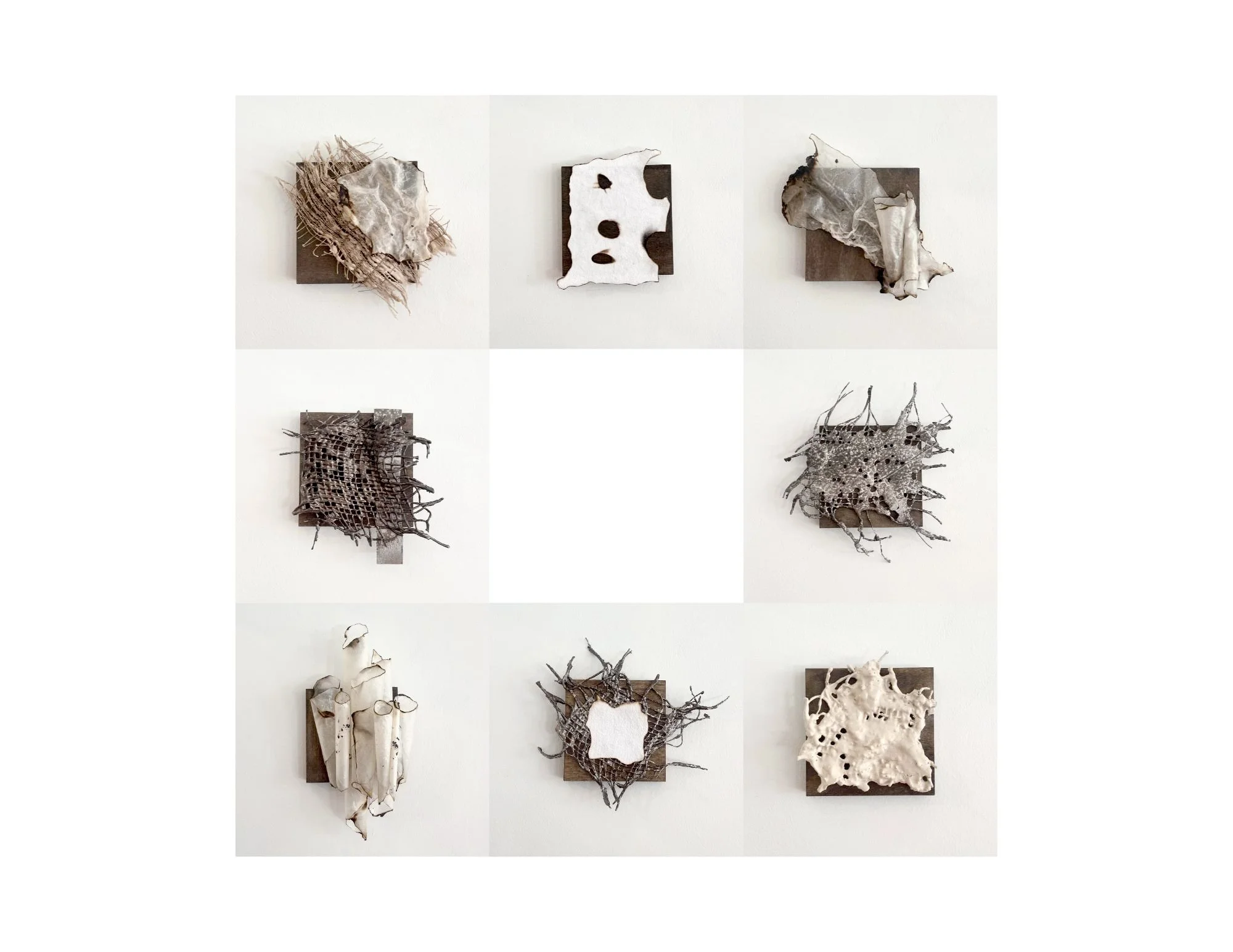Provider: Sample Collection