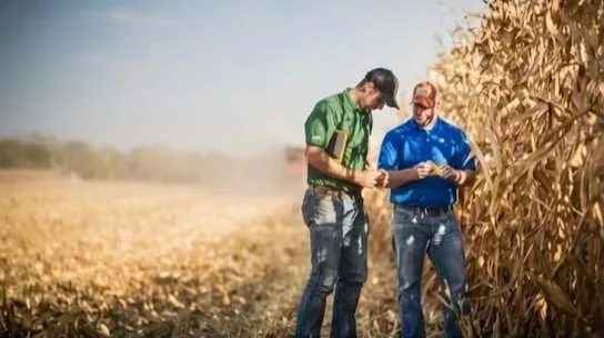 The IT Experience Reimagination