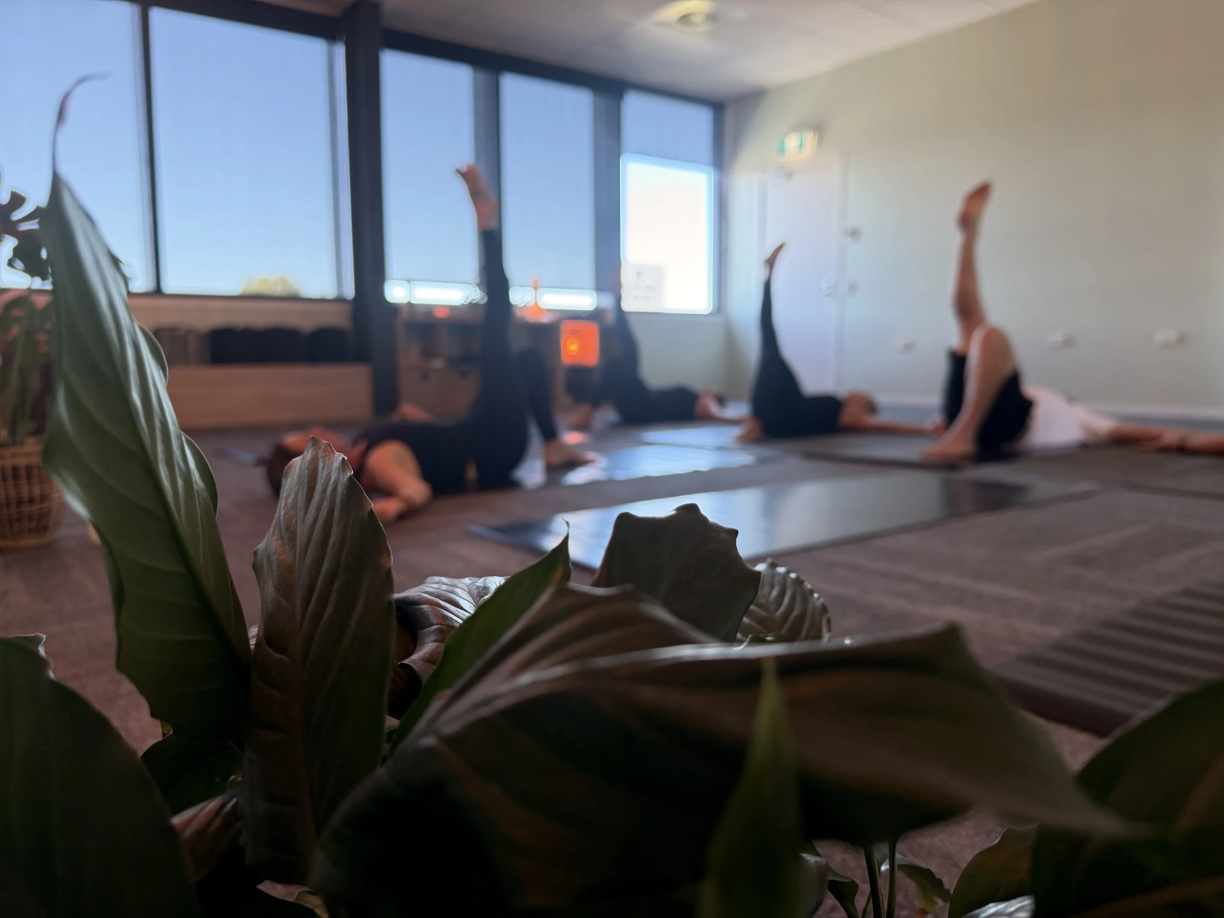 breath-led yoga and Mat Pilates studio in Lincoln Christchurch