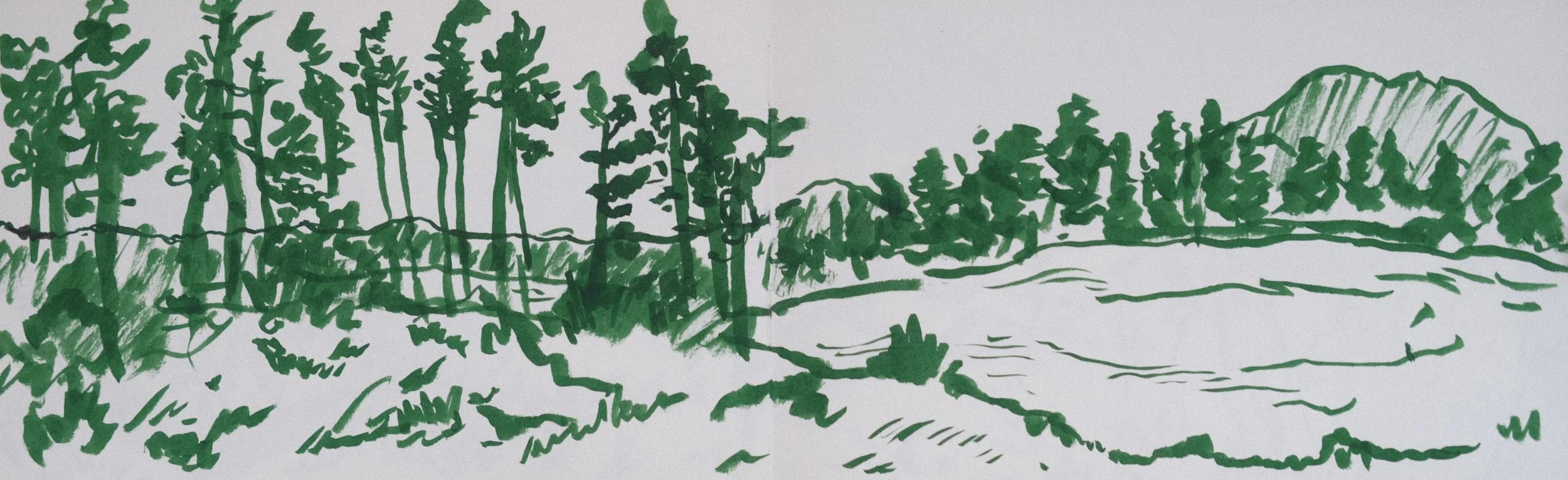 PLEIN AIR - BEAR LAKE, CO (2025), 16.50x5.25, ink
