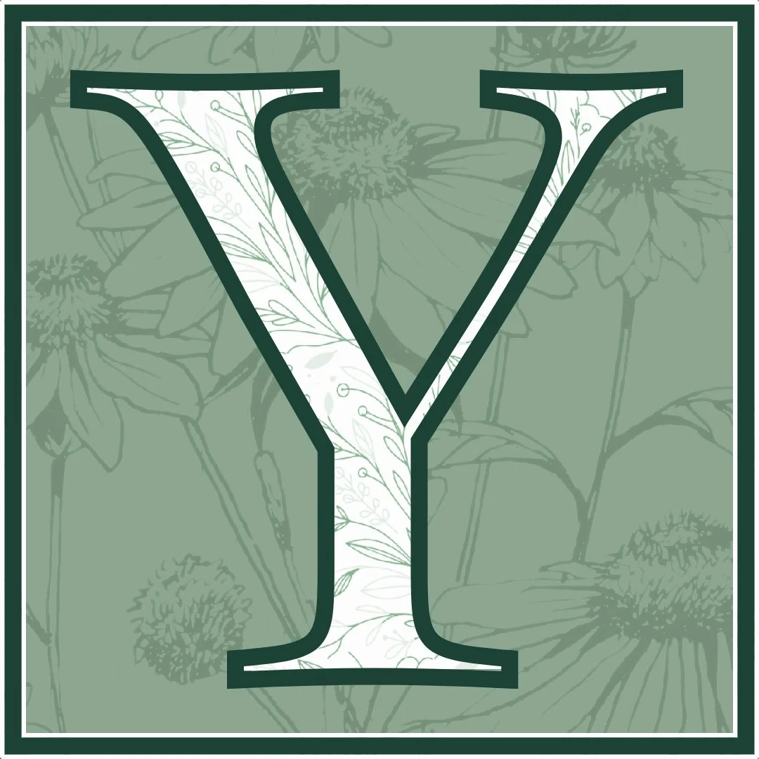 Yerardi Psychiatric Services LLC