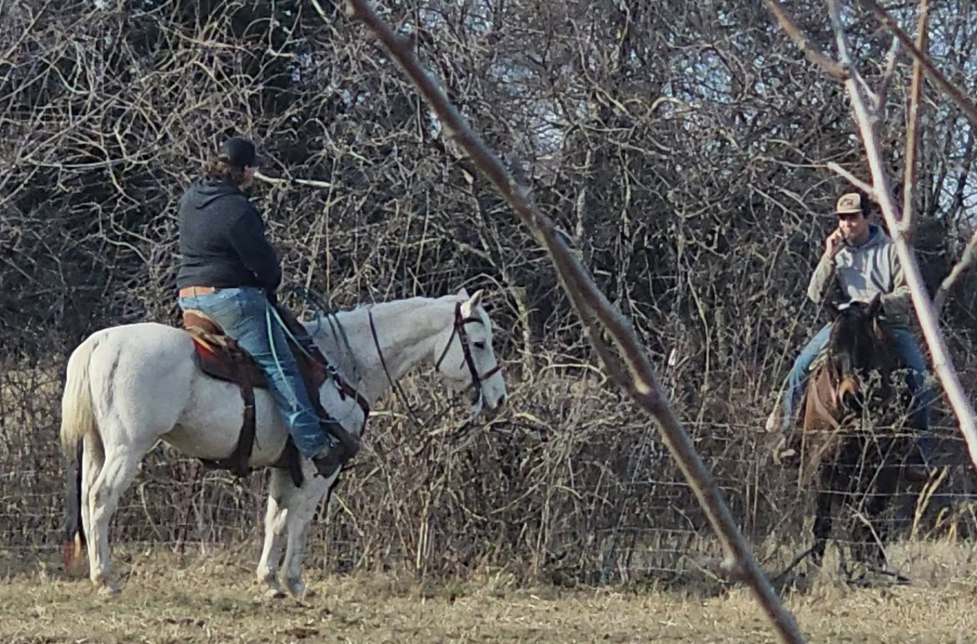 Screenshot 2026-01-26 184636.png