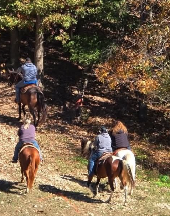 Screenshot 2026-01-26 184427.png