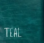 Color_Teal.jpg