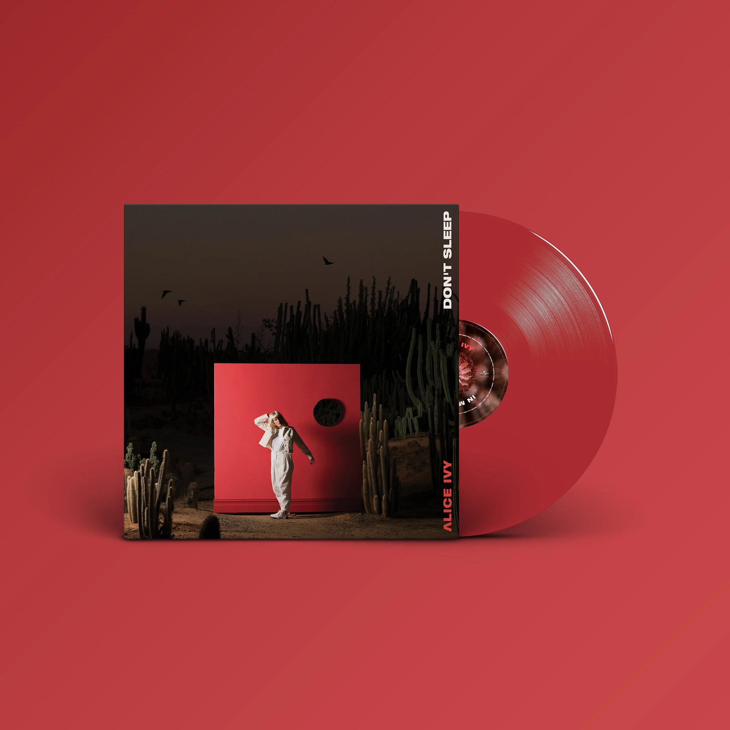 Vinyl Record PSD MockUp.jpeg