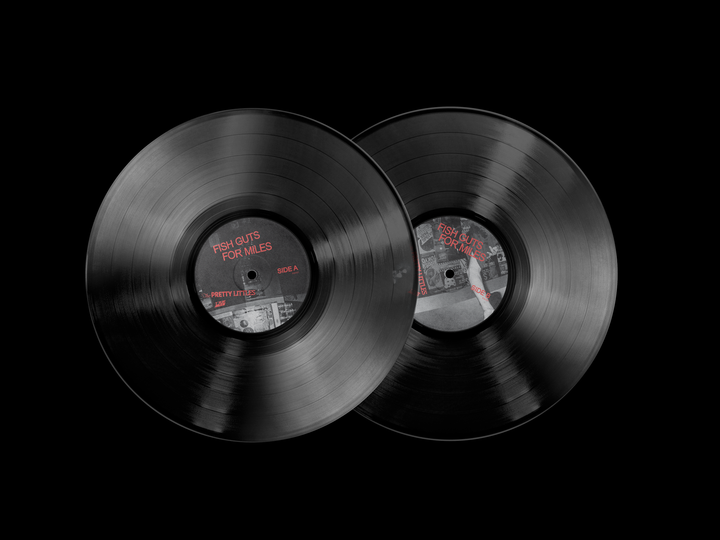 FGFM-Vinyl Record Mockup.PNG