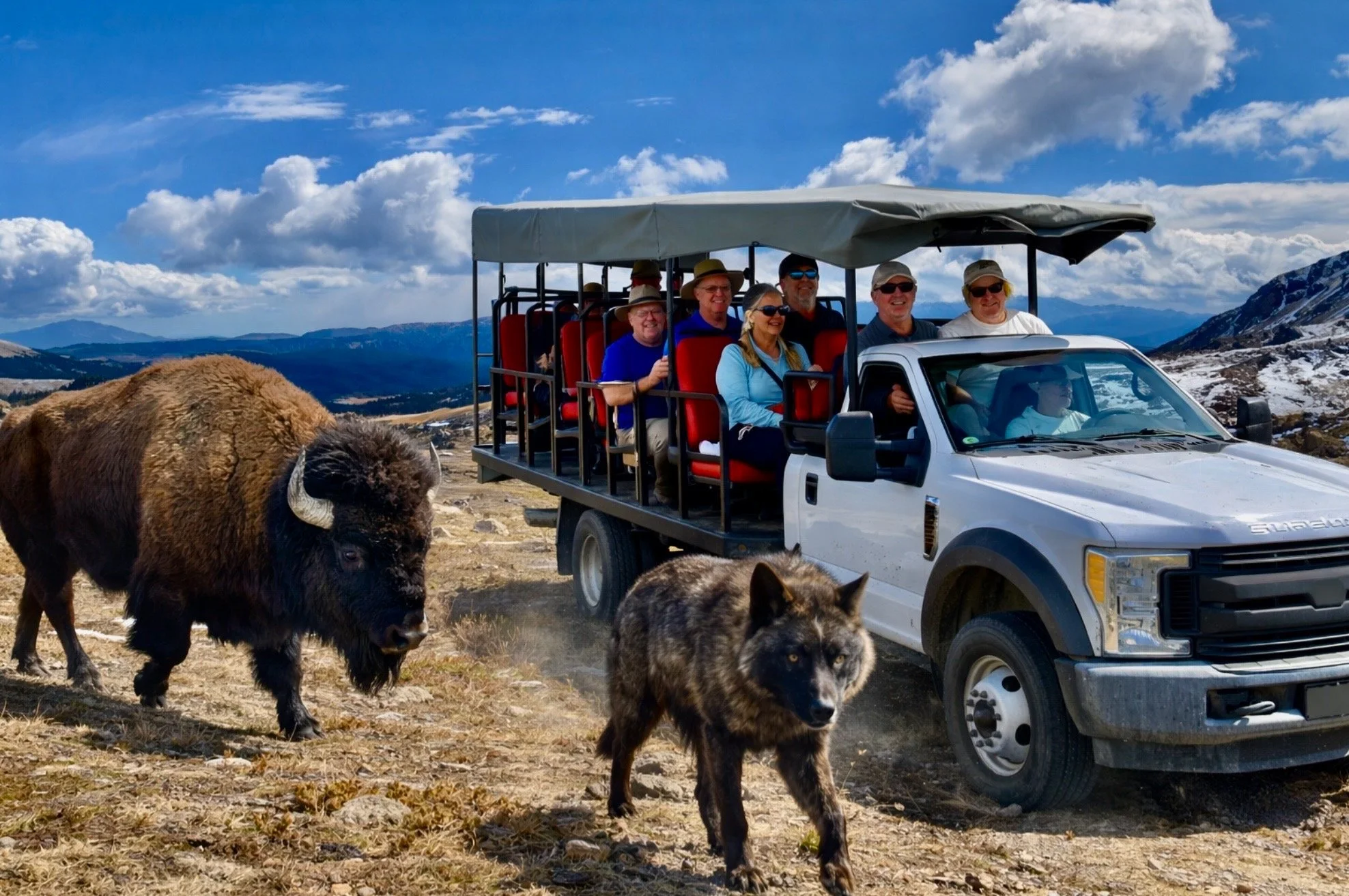 Ultimate Wildlife Safari Adventure