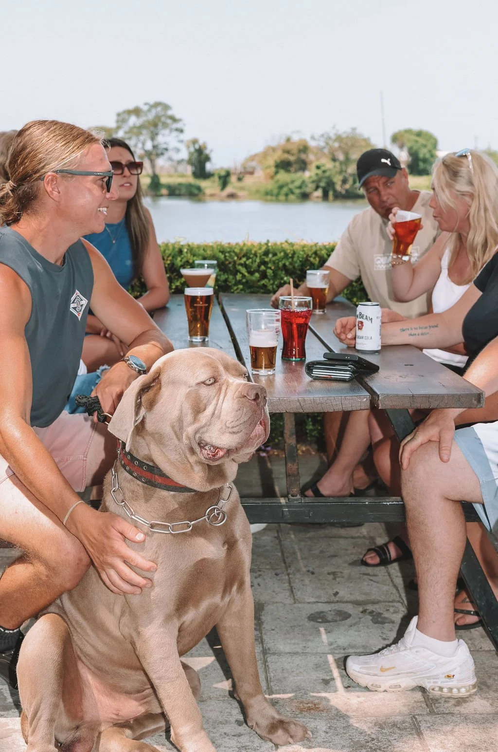 A group of people sitting at an outdoor table near a body of water, enjoying drinks, with a large dog sitting beside one person.