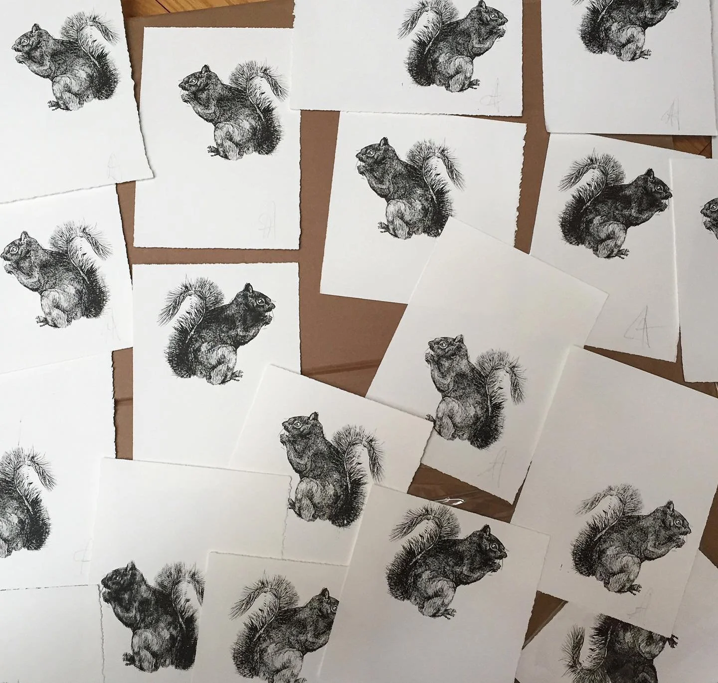 Just discovered this treasure trove of Alexis Brown squirrel prints!! Now to put one in every room... @heliotropic_art 🥜🌰🐿🐿🐿🐿🐿🐿🐿#printmaking #blockprint #illustration #art #squirrel #fall #autumn #nature #nvh #gscia #newhaven #publicart