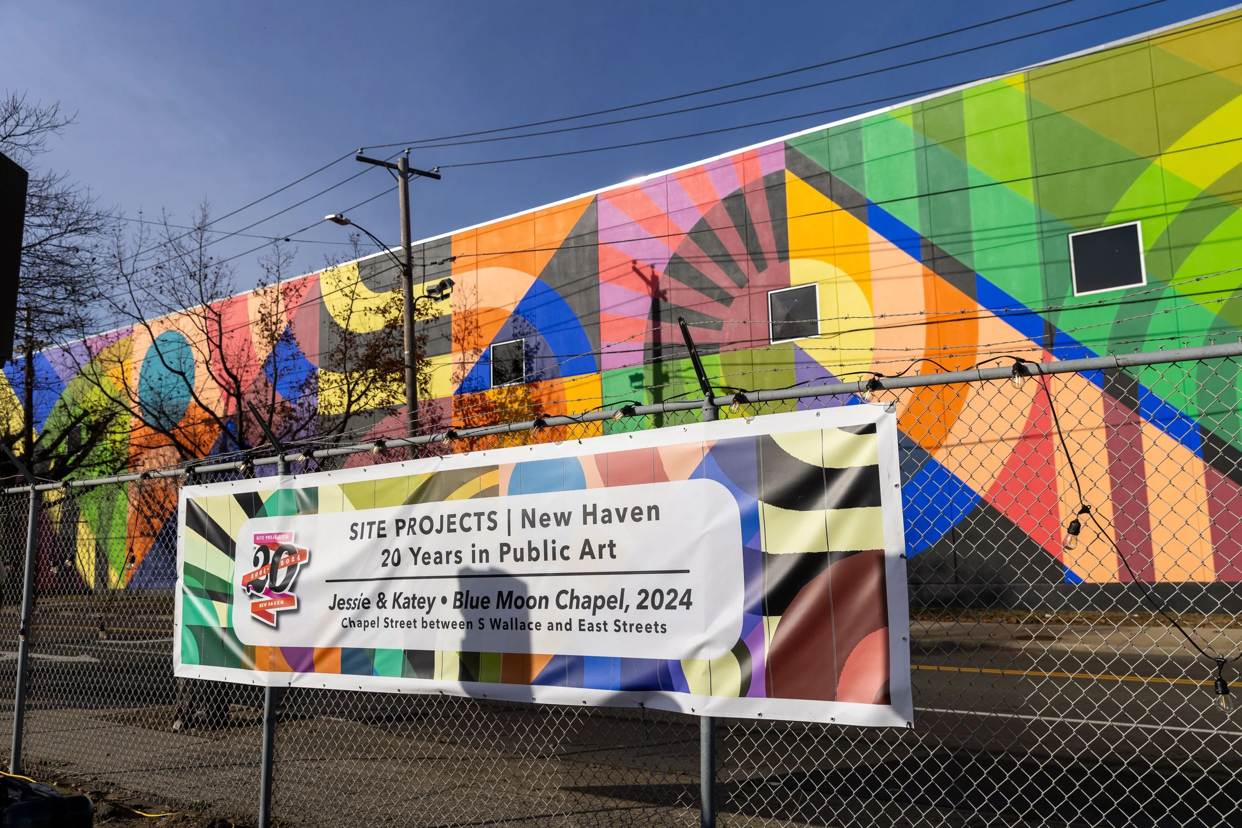 009 Site Projects Unveiling.jpg