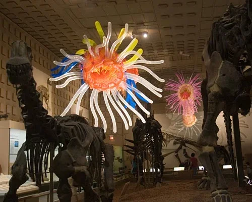 Jason Hackenwerth. Revenge of the Megadon and the Megamite, 2006