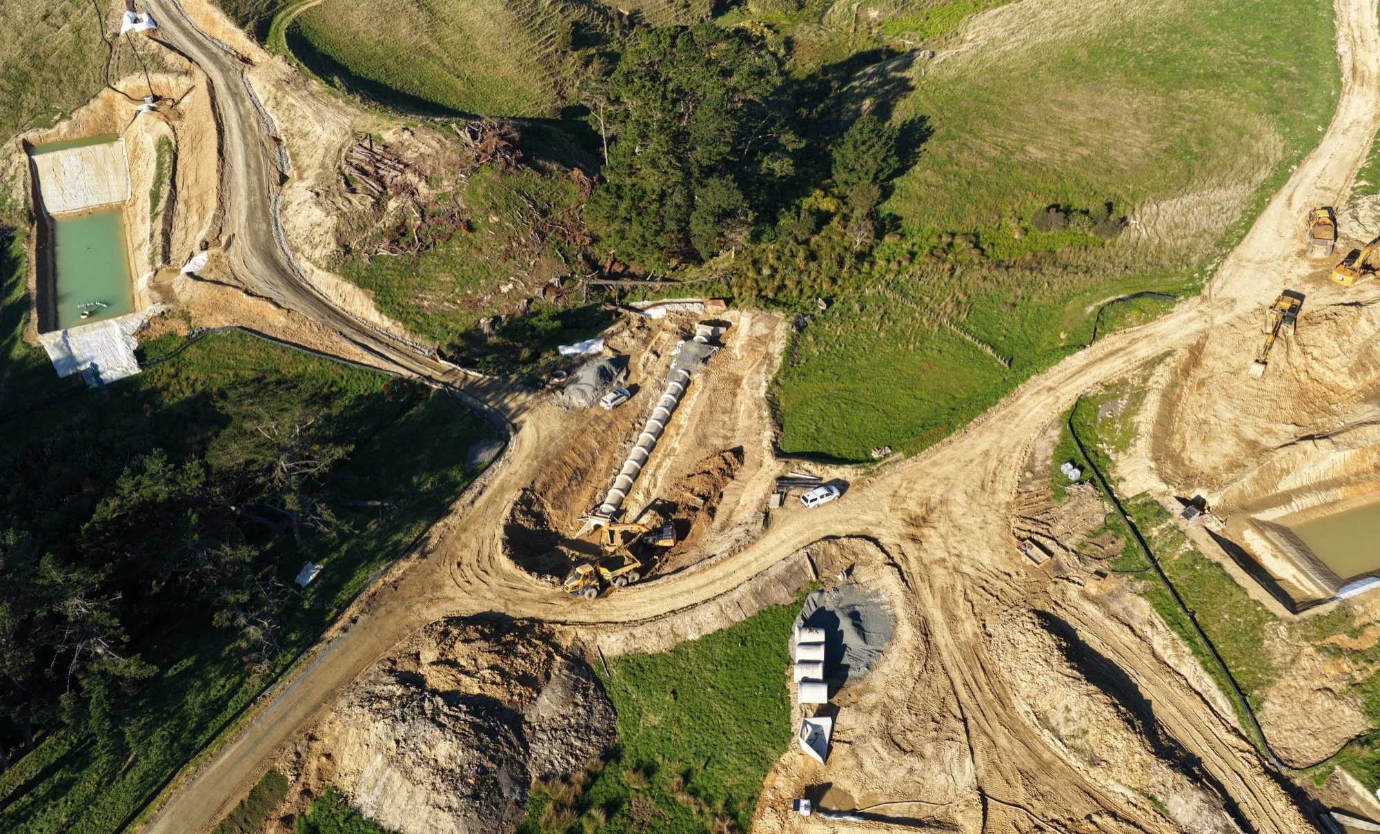 Plimmerton Farm - May update (1) copy-2000px.jpg