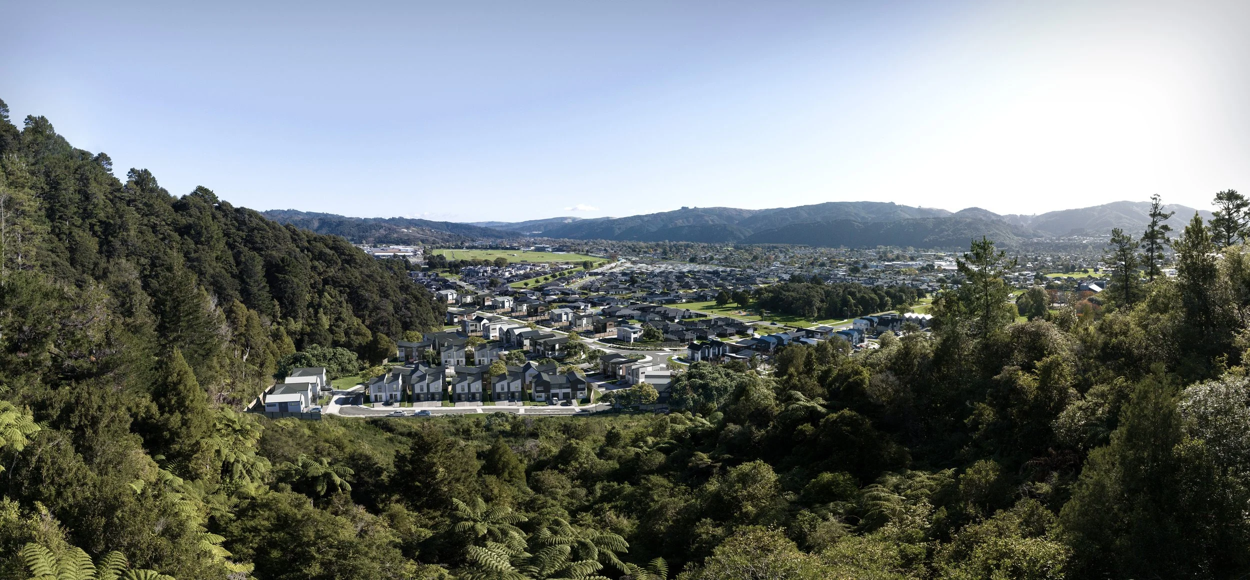 A render of Wallaceville Estate as a whole shows modern houses surrounded by lush green trees and a cityscape in the background under a bright blue sky.
