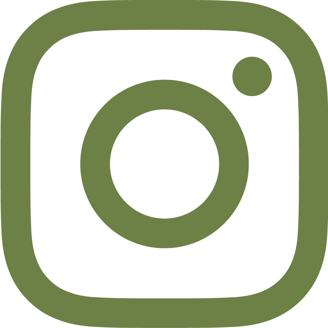 Green and black Instagram logo icon