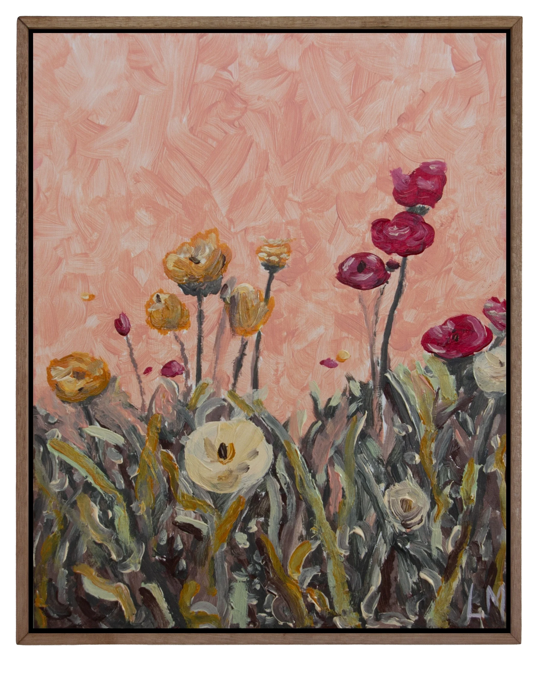 Original Painting: Late Ranunculus