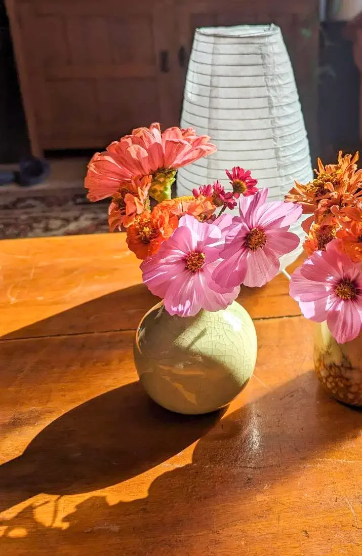 Picture by Luke: Flowers sitting in the vase while being kissed by the sun