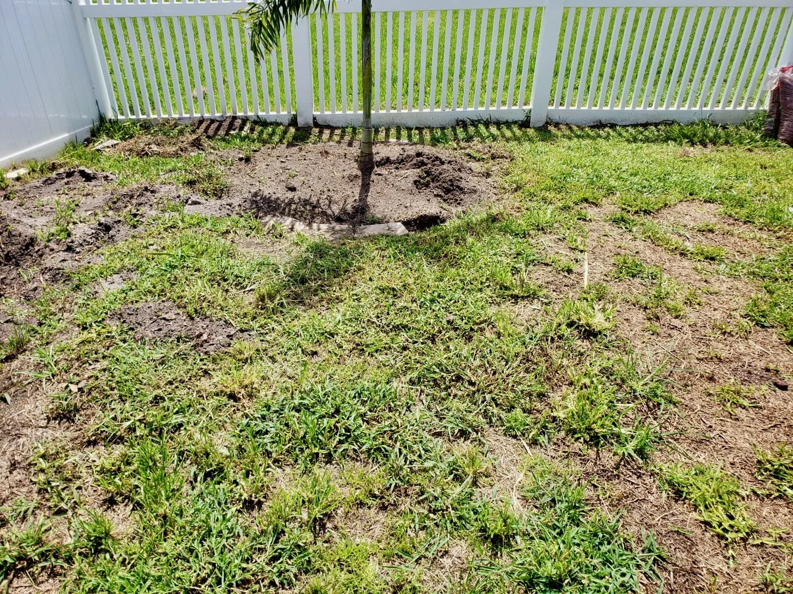 WhatsApp Image 2020-07-18 at 1.10.40 PM (6).jpeg