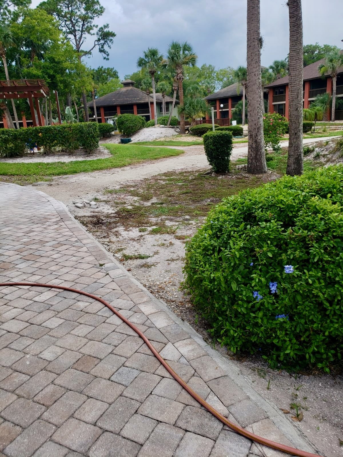 WhatsApp Image 2020-07-18 at 1.44.31 PM (5).jpeg