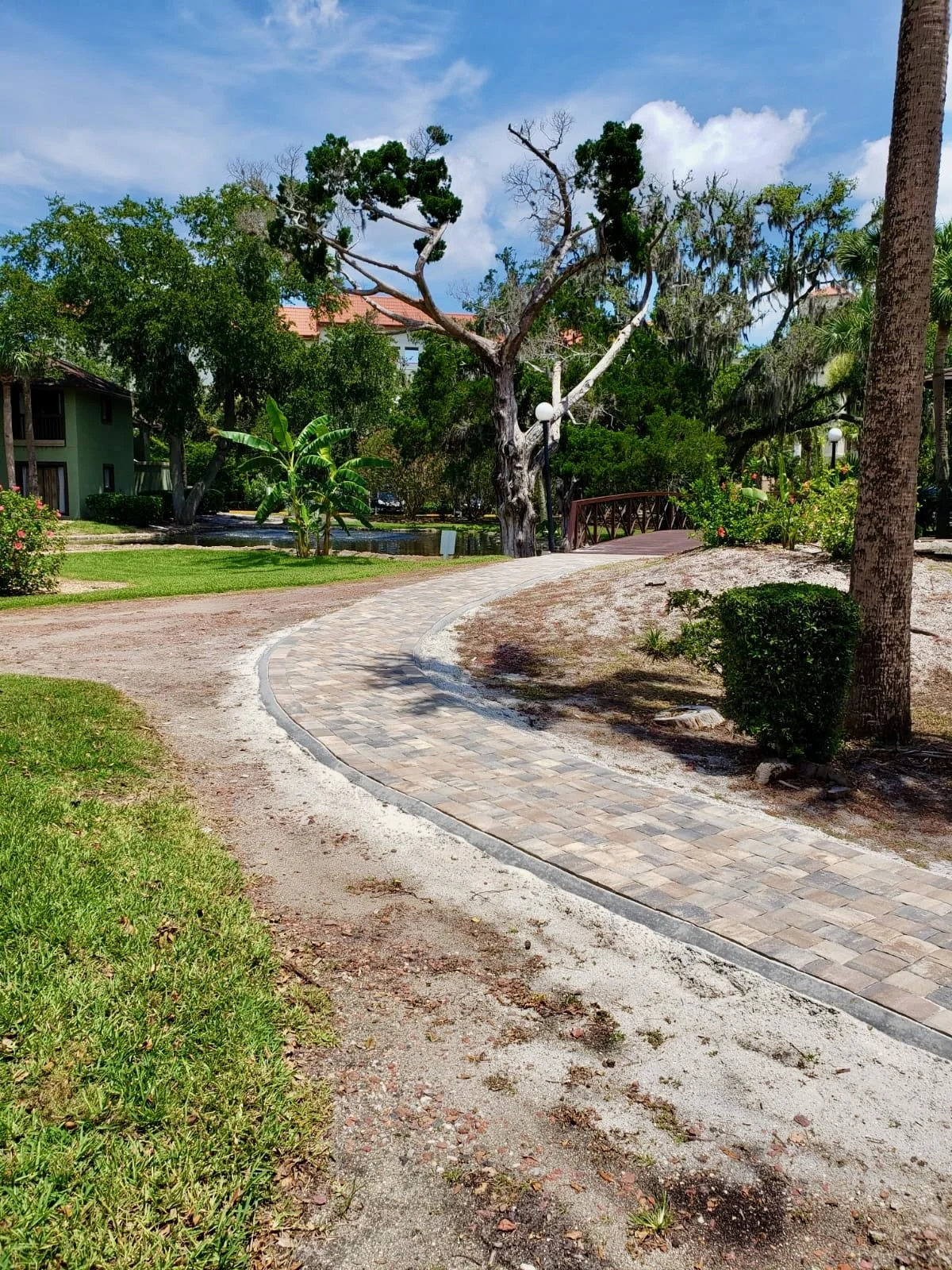 WhatsApp Image 2020-07-18 at 1.46.50 PM (3).jpeg