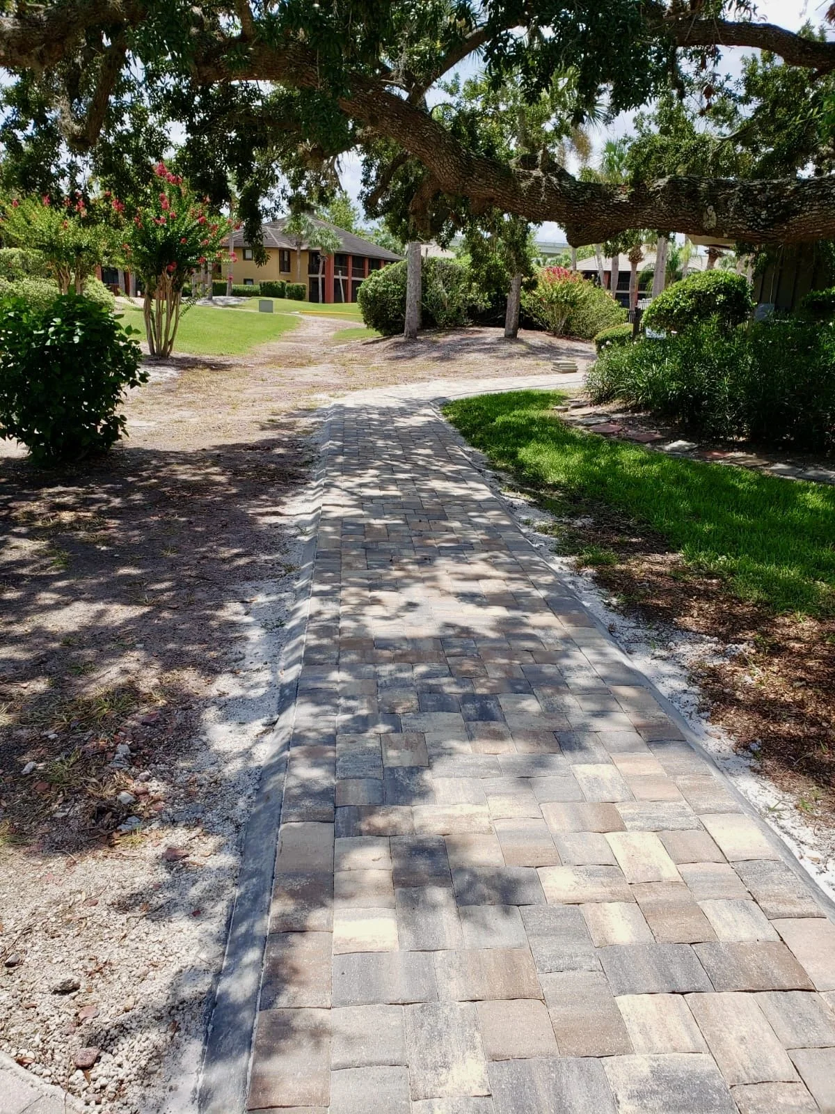 WhatsApp Image 2020-07-18 at 1.45.10 PM (1).jpeg