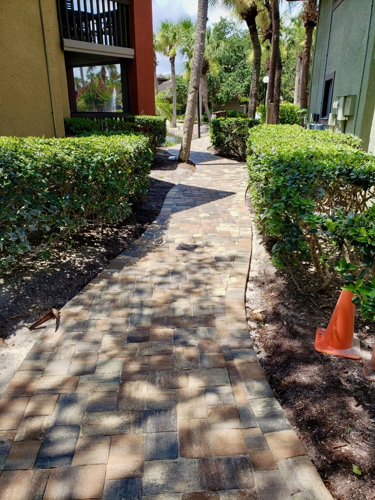 WhatsApp Image 2020-07-18 at 1.44.33 PM (3).jpeg