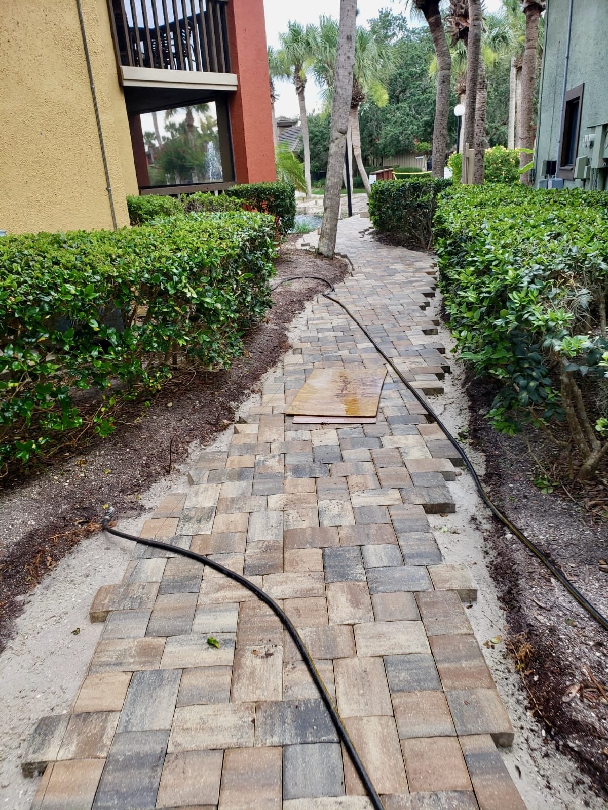 WhatsApp Image 2020-07-18 at 1.44.31 PM (2).jpeg