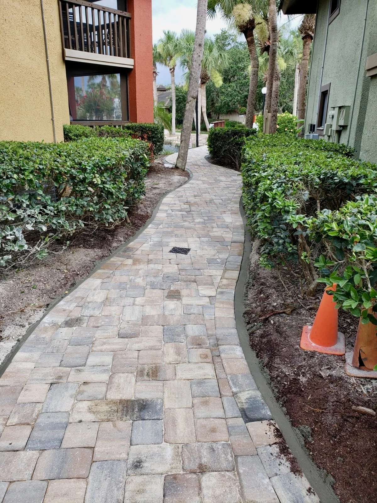 WhatsApp Image 2020-07-18 at 1.46.51 PM (2).jpeg