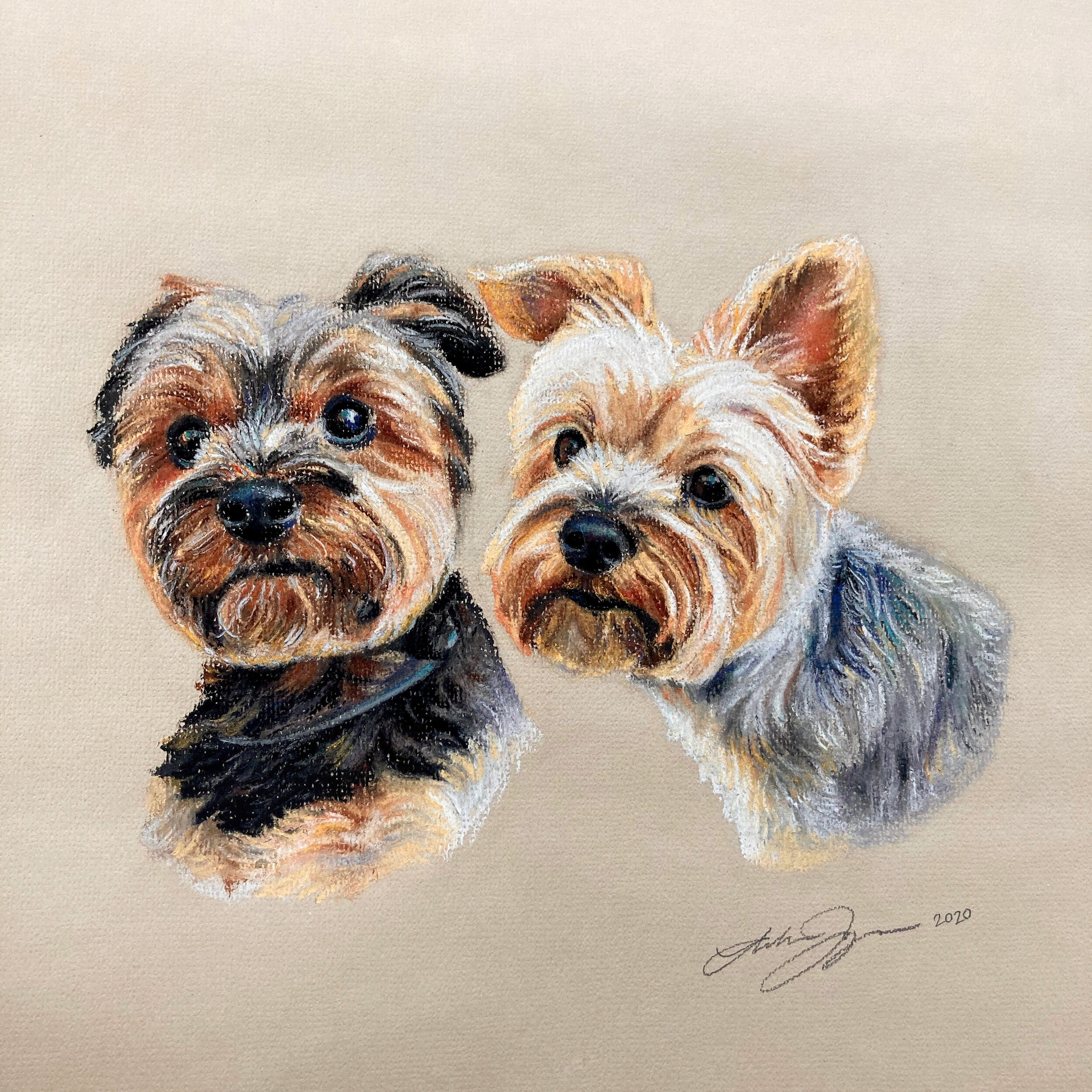 2020. Chalk pastel on charcoal paper. 16” x 20”.